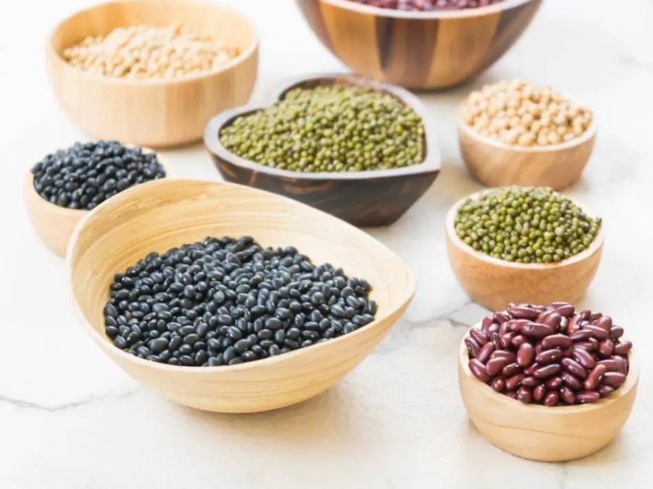 Rośliny strączkowe