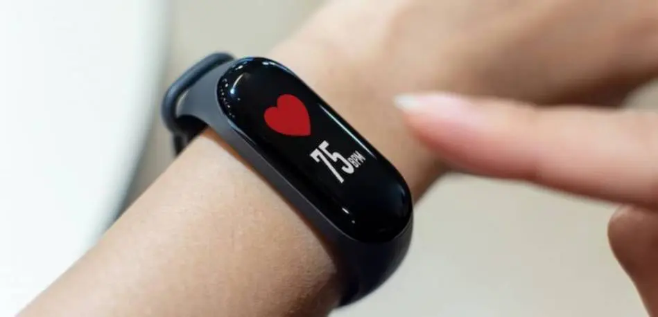 Monitory tętna są przydatne nie tylko biegaczom!